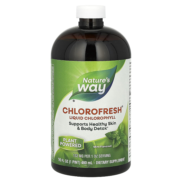 Chlorofresh, Liquid Chlorophyll Mint (480 ml)	