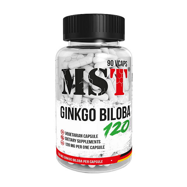 Ginkgo Biloba 120 mg (90 veg caps)  