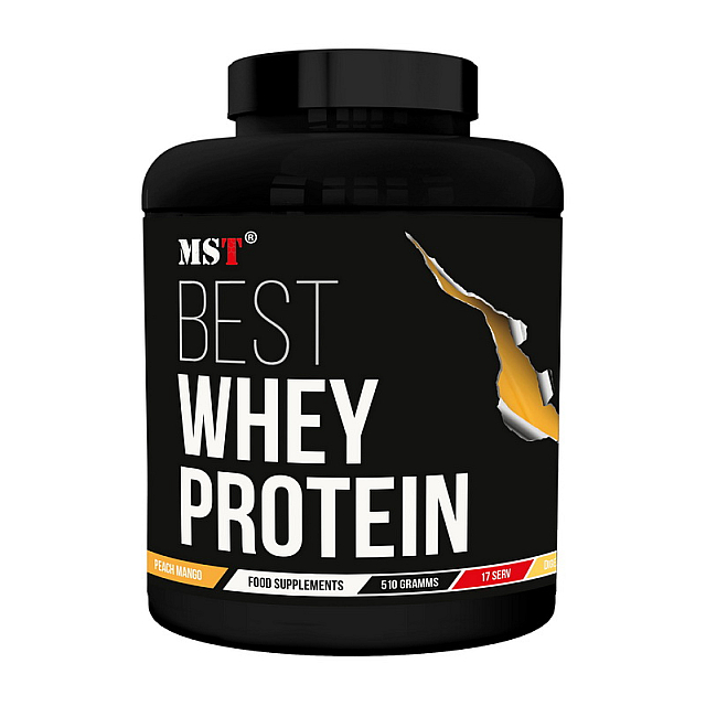 Best Whey Protein + Enzyme (510 g)  Chocolate