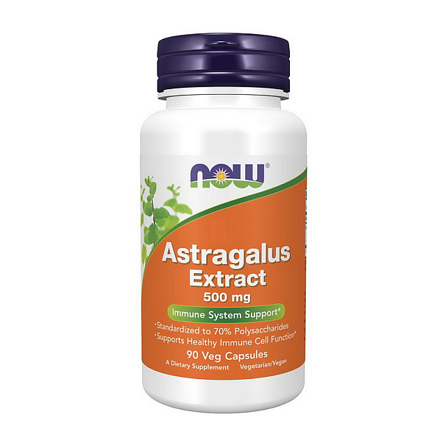 Astragalus Extract 500 mg (90 veg caps)  
